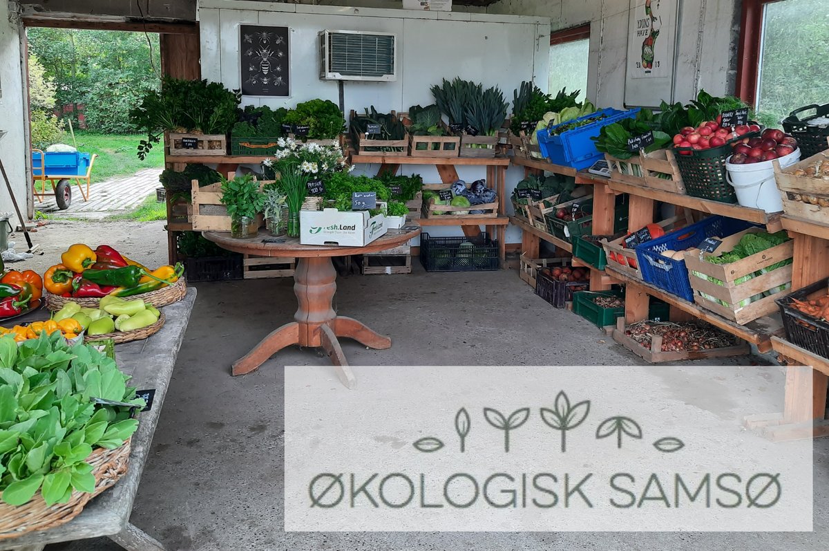 Fresh vegetables on display in a farm shop, with the Økologisk Samsø logo